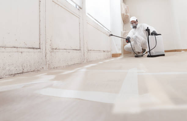 24/7 Emergency Mold Testing experts in Clarksville, TX
