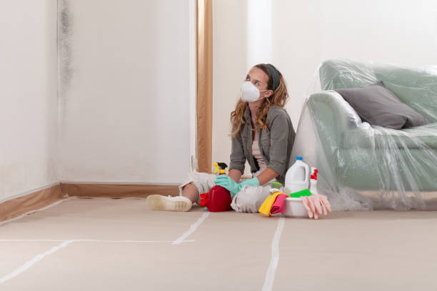 Reliable Mold Testing contractor in Clarksville, TX by WQB Mold Removal